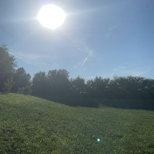 Meet your Posher, Diana